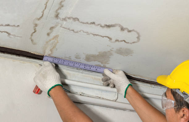 Reliable Water Damage contractor in Ledbetter, KY by Water Damage Irwin